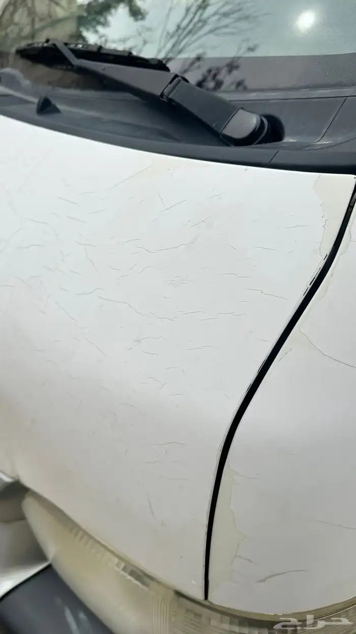 باص بضاعة ابو قبه 8