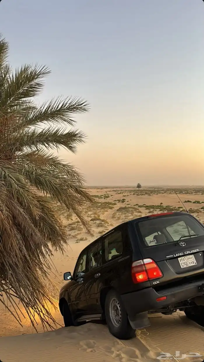 لاند كلوزر وارد قطر 1999 GXR 8