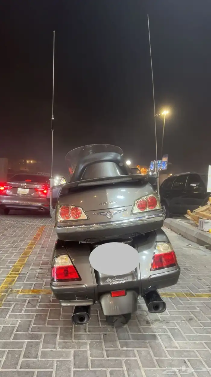 قولدوينق 2010 2