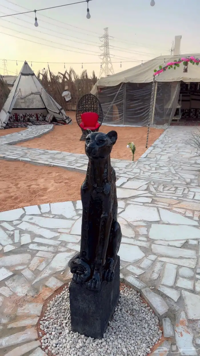 مخيم الريم للايجار اليومي الرياض 19