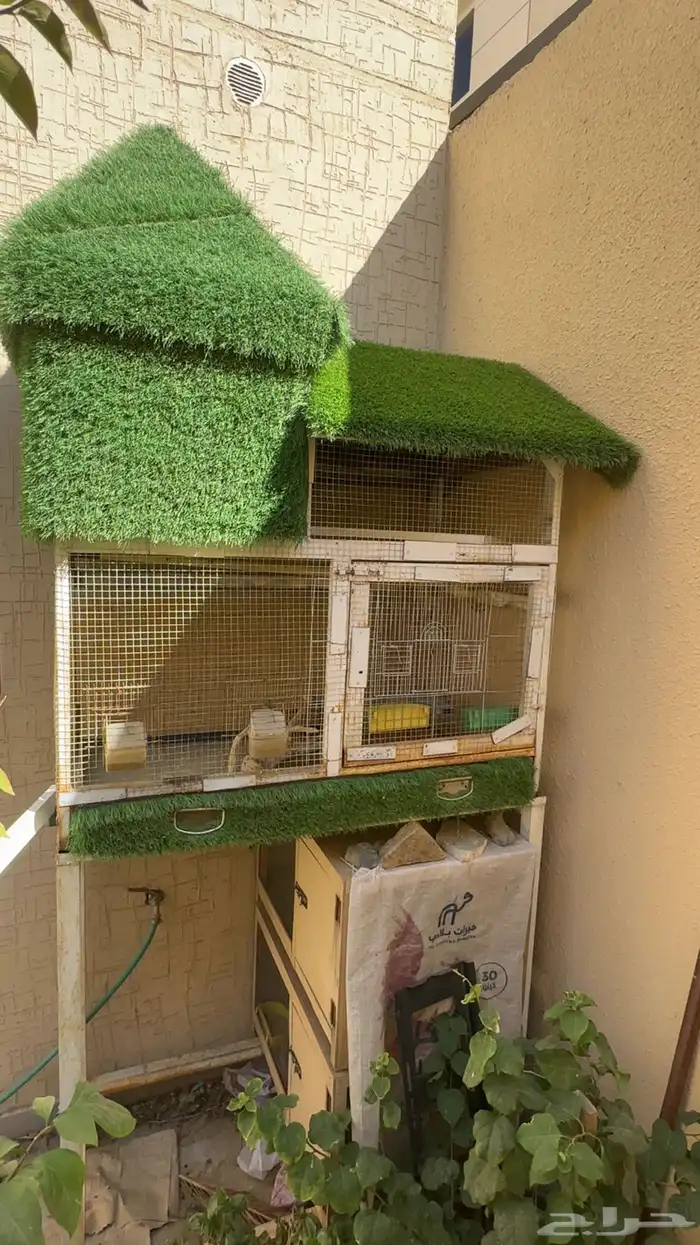 مطير طيور للبيع 0