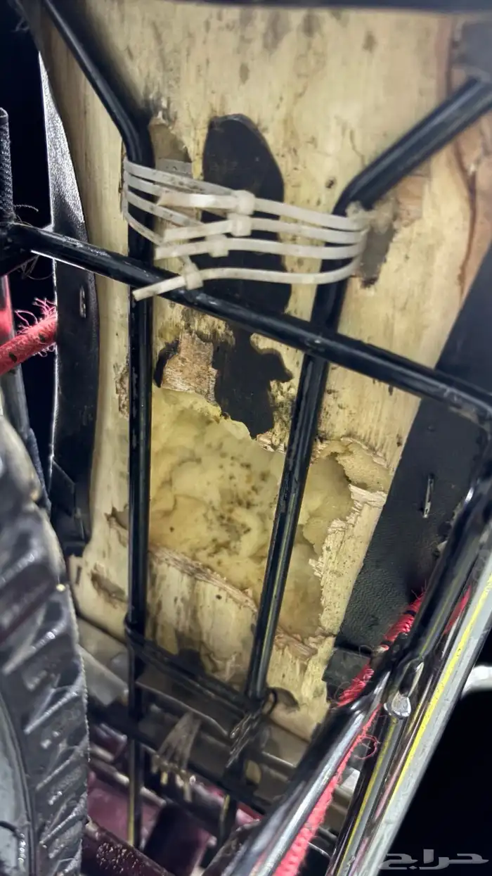 للبيع سيكل رامبو عنابي صيني درجه اولى (الاصلي) 2