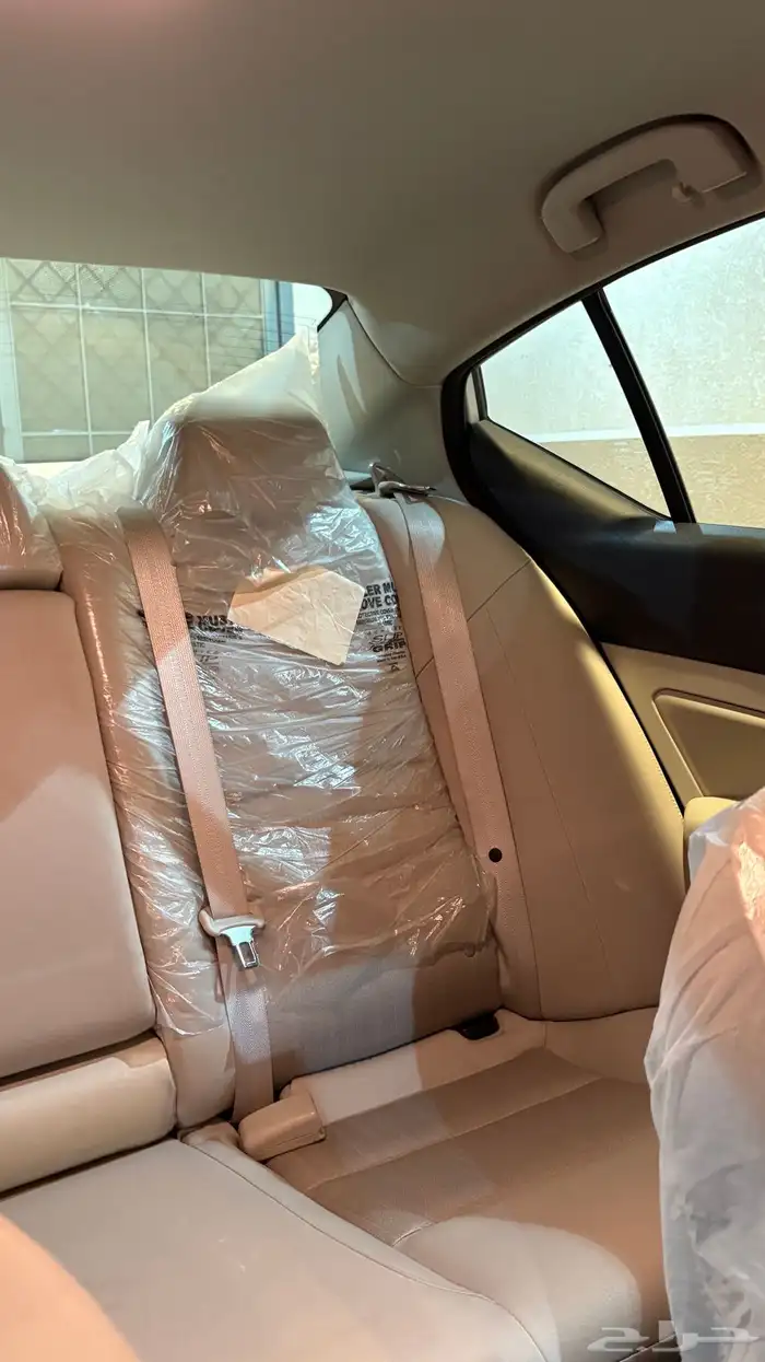 التيماء 2022 4