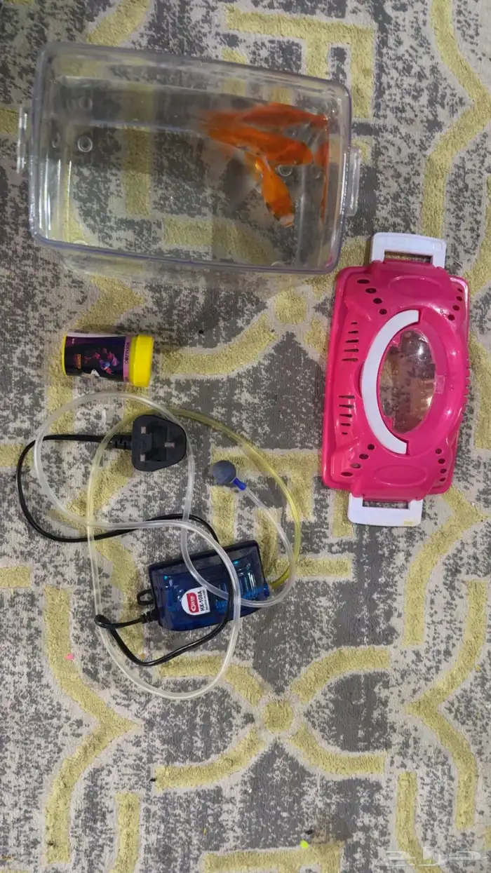 اسماك للبيع بجميع احتياجاتها 0