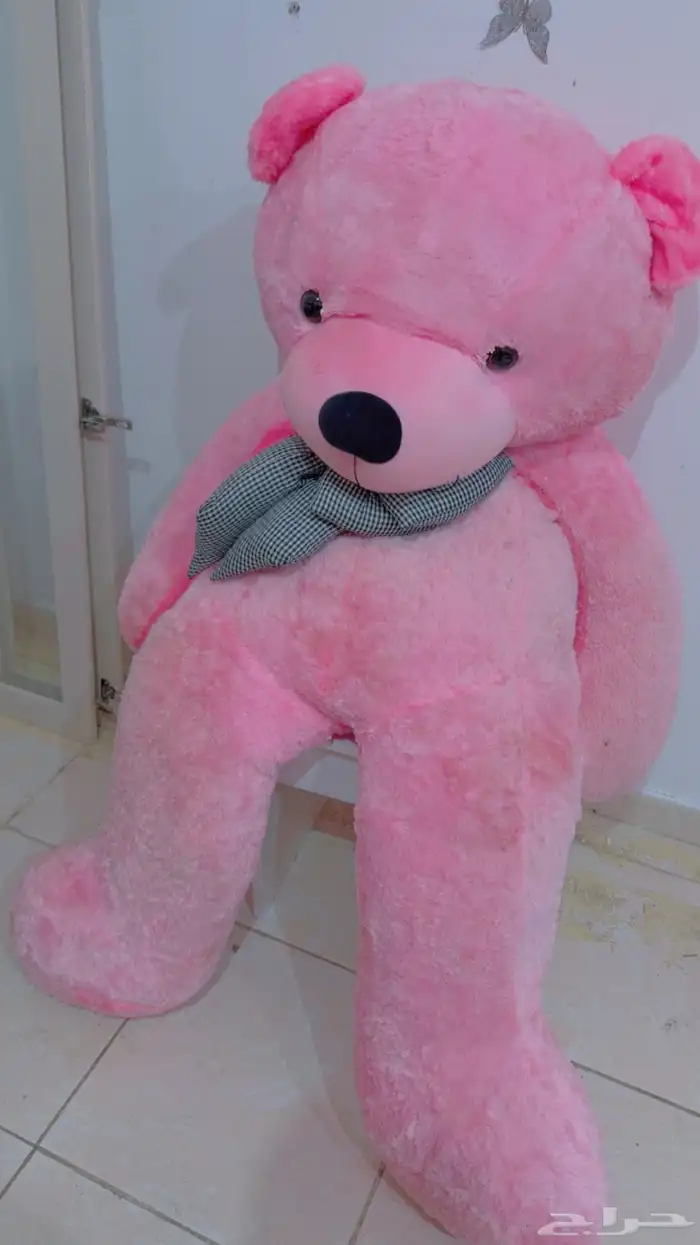 دب للبيع لون وردي 0