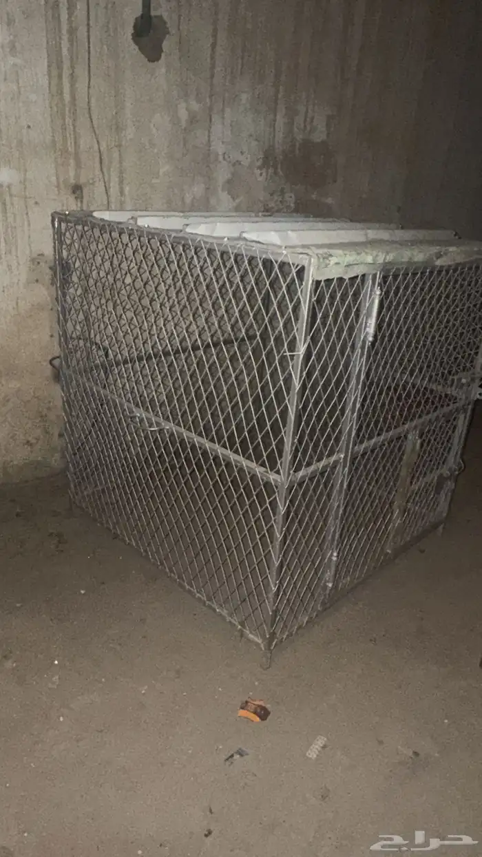 شبك طيور للبيع 1