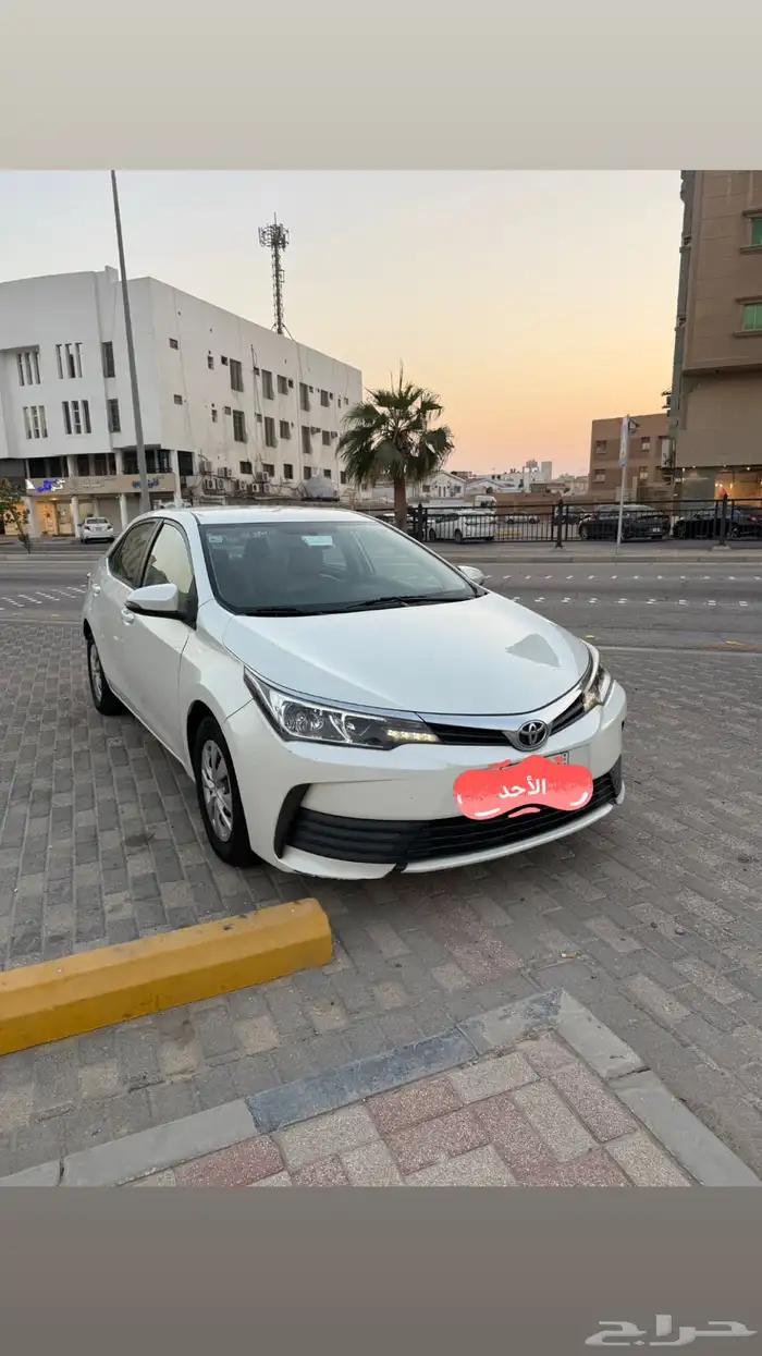 كورلا نظيف 2017 1