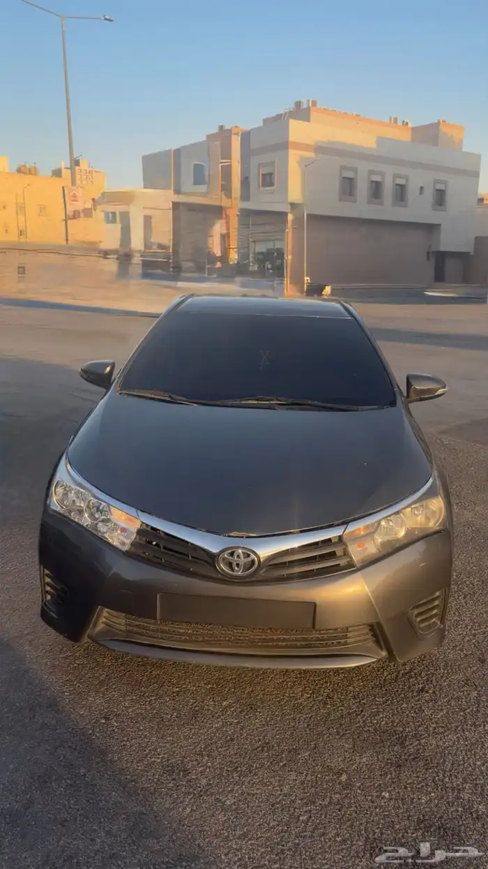 كوريلا موديل 2015 0