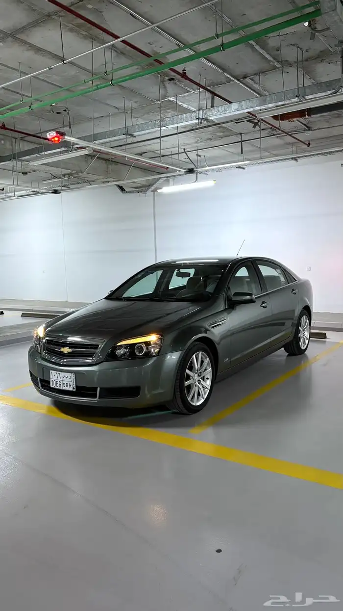 كابرس زعتري 2015 1