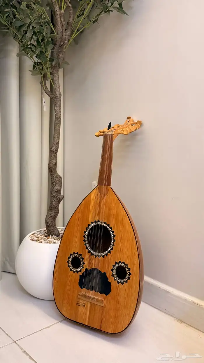 عود مصري 0
