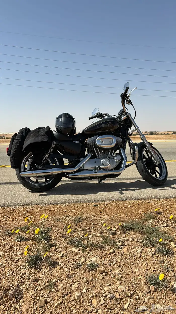 هارلي سبوستر 883 2020 0