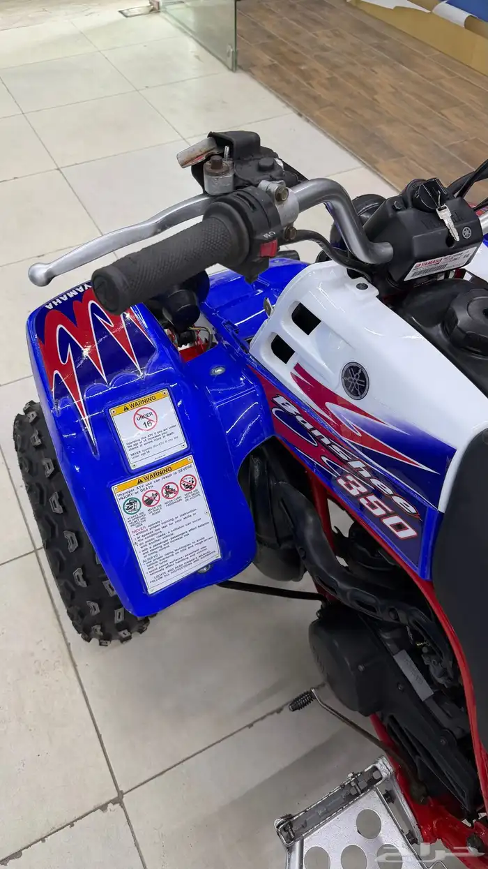 بانشي 2011 أصل 8