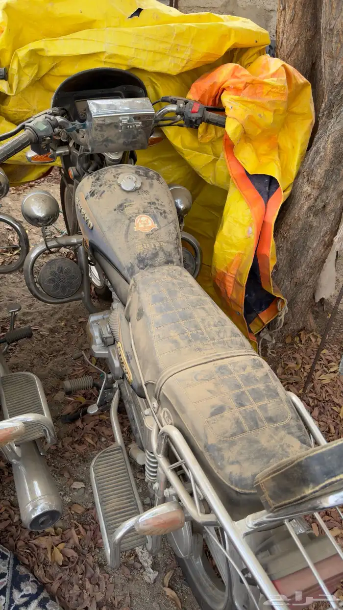 دباب سويدي 2022 ورقة جمرك 16