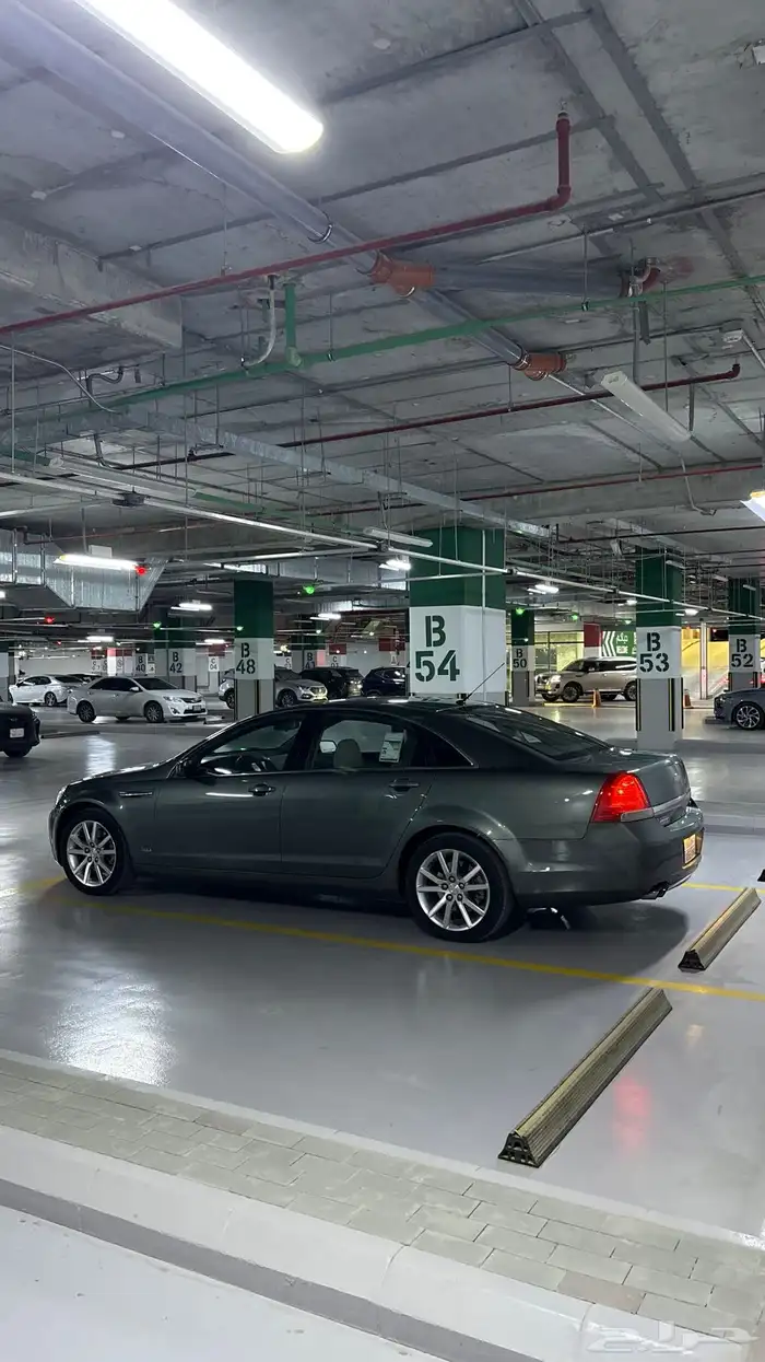 كابرس زعتري 2015 3