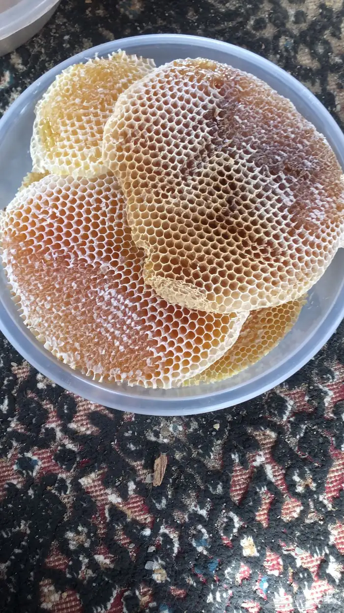 عسل شمع وصافي مضمون علي الشرط 1