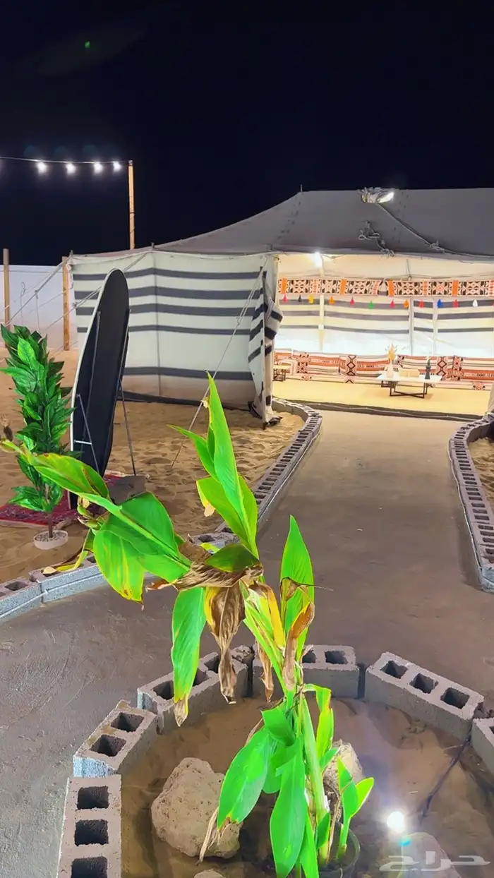 مخيم وهج للإيجار 13