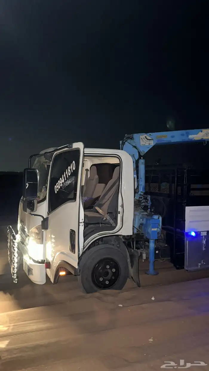 دينا مشاوير 0