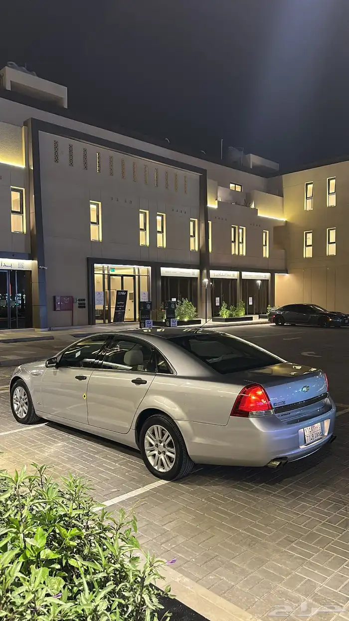 كابرس 2011 بودي بلد LS 14