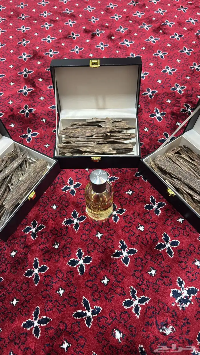 عود هندي طبيعي بعرض وسعر خاص . 0