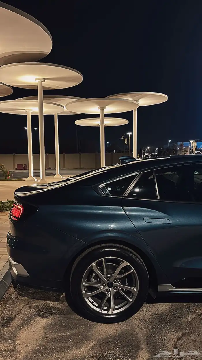 تورس ترند 2023 3