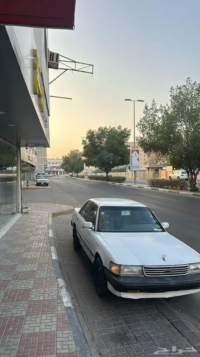 الاحساء الهفوف 0