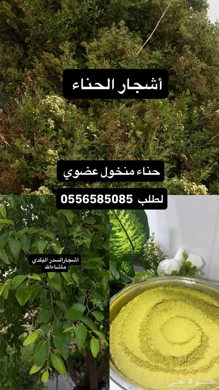 حناء عضوي 0