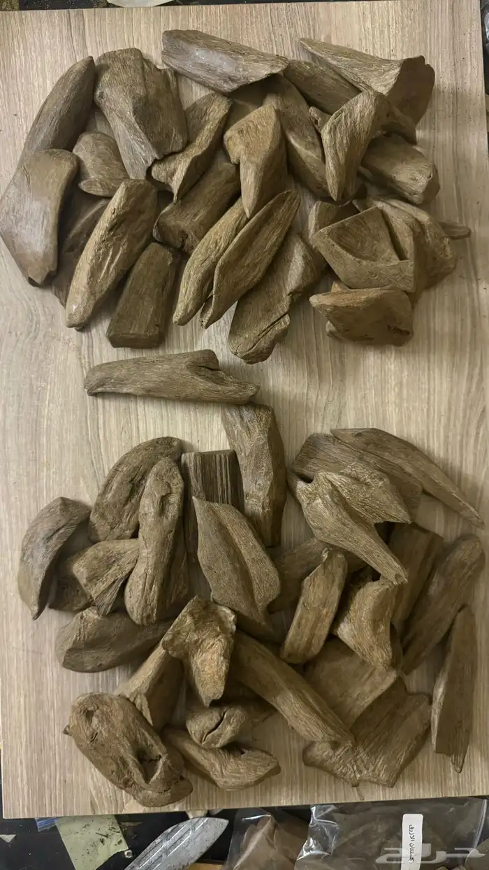 علمتنا المتميزة في الاعواد المحسنه البيور 2