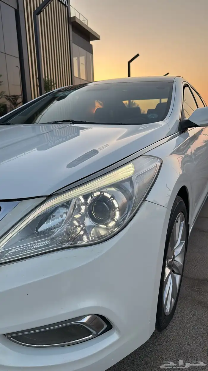 ازيراء لميتيد 2015 6