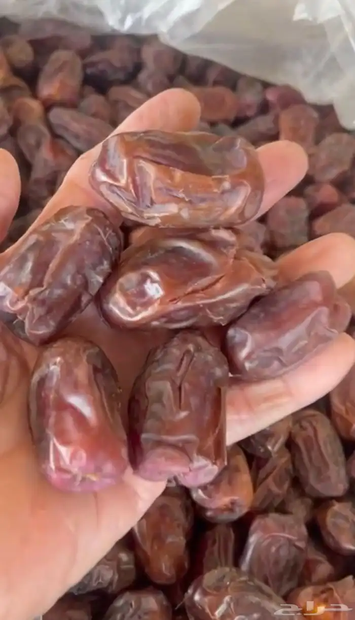 تمر خضري الغاط  عضوي 1