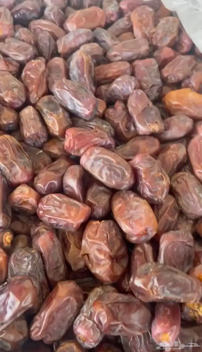 تمر خضري الغاط  عضوي 0