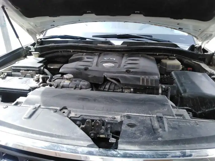 باترول بطل الدروب 2010 1