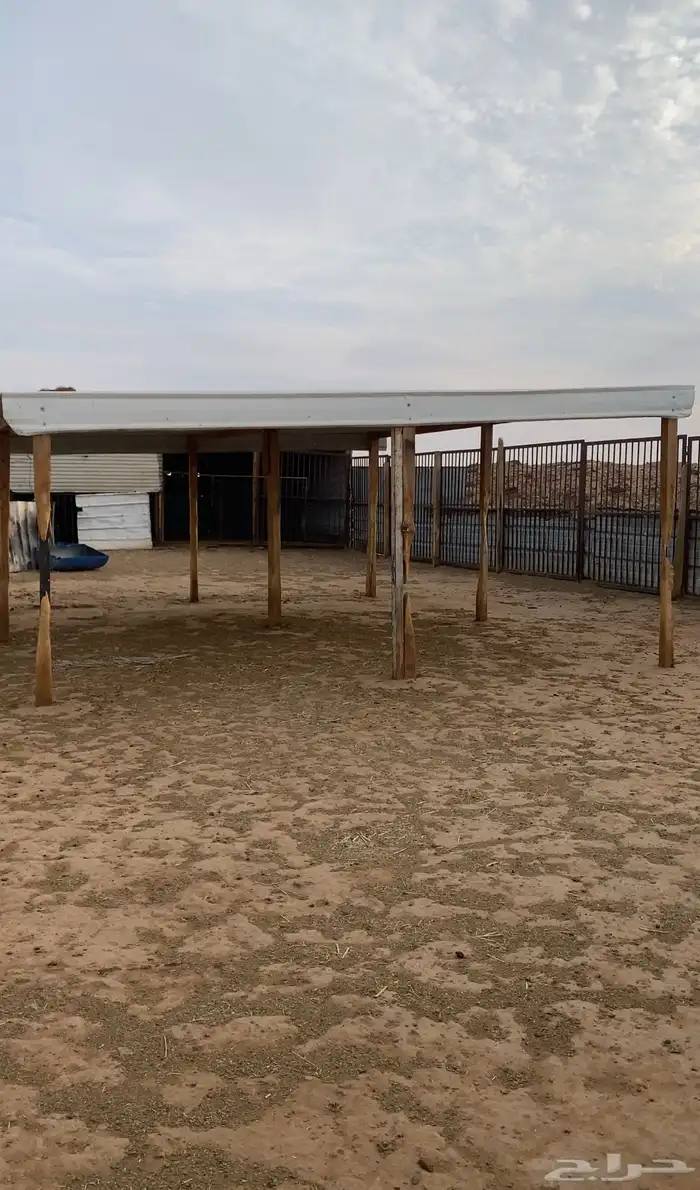 شبك غنم للإيجار شرق الرياض مفرق رماح 1
