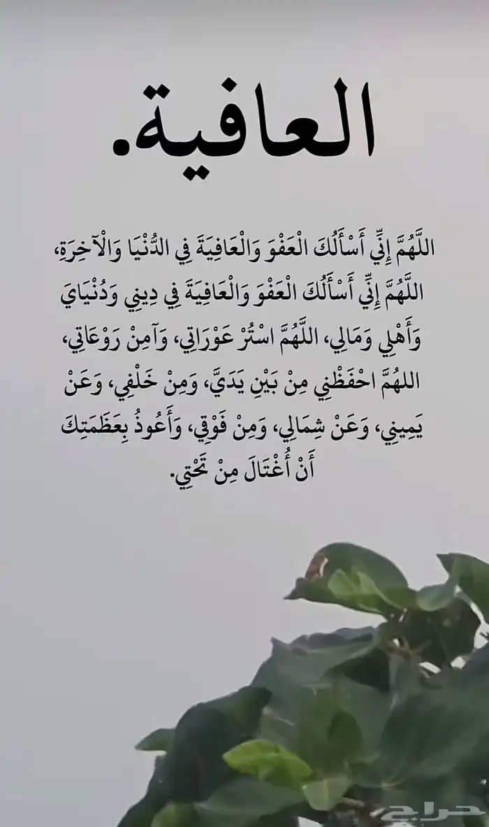 مستلزمات منزلية مااحتاجها 0