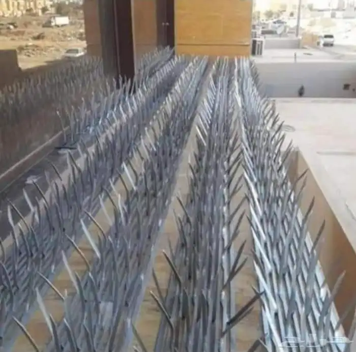 شركة تركيب طارد اشواك الحمام بمكة شركة مكافحة حشرات بمكة 4