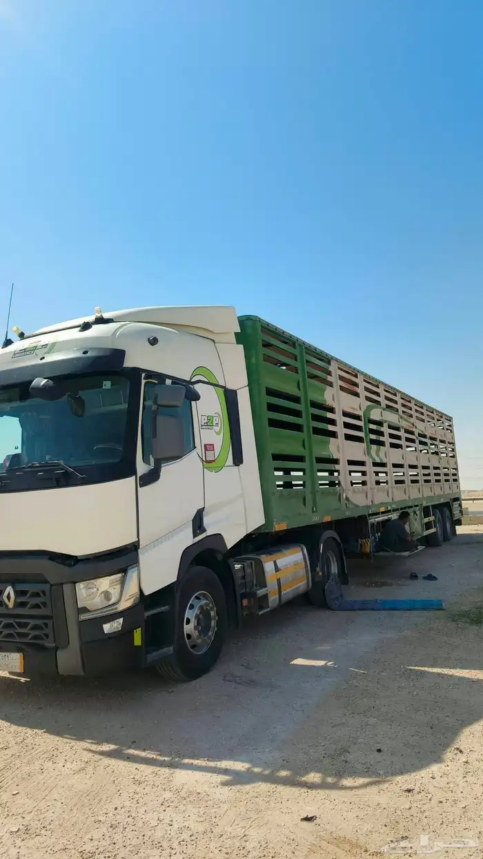 تريله أغنام 0