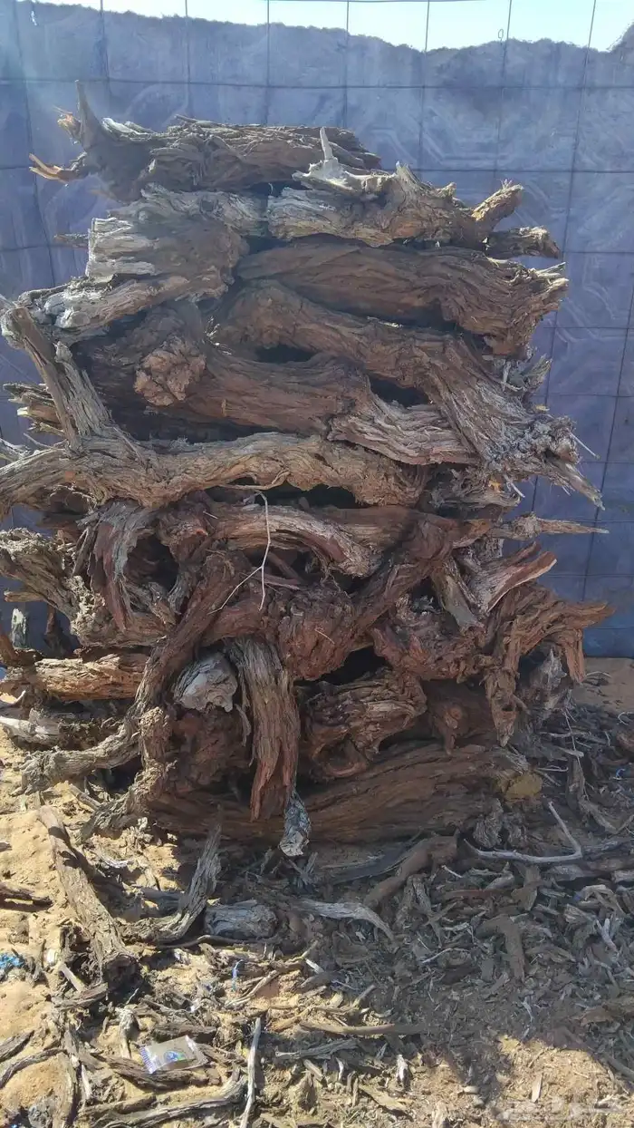 دفاية تكس فل و خياش فل ا اتواصل وتساب ا 1