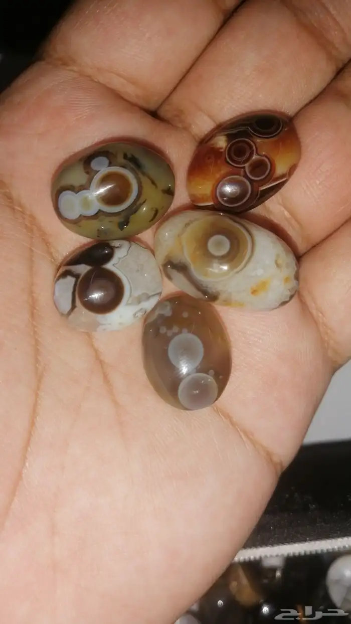 خاتم عقيق كرزي 5