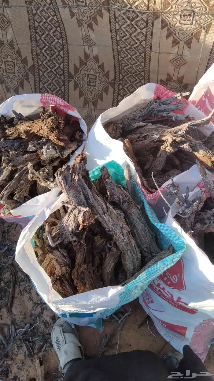 دفاية تكس فل و خياش فل ا اتواصل وتساب ا 0