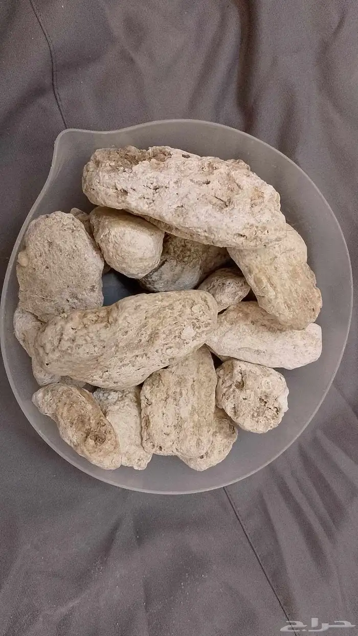 عنبر الحوت 1