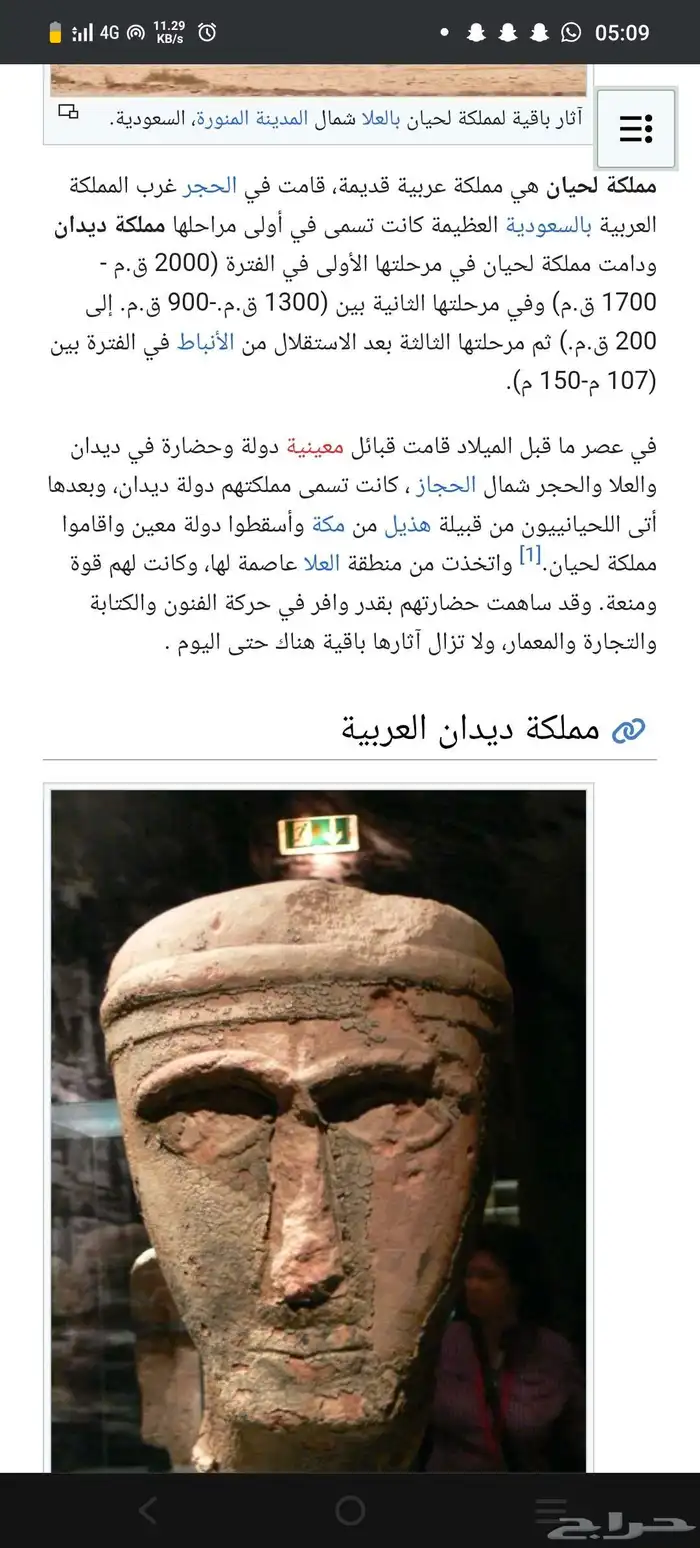 عملة البومة الحيانية من النوادر ضرب العلا قبل الميلاد 6