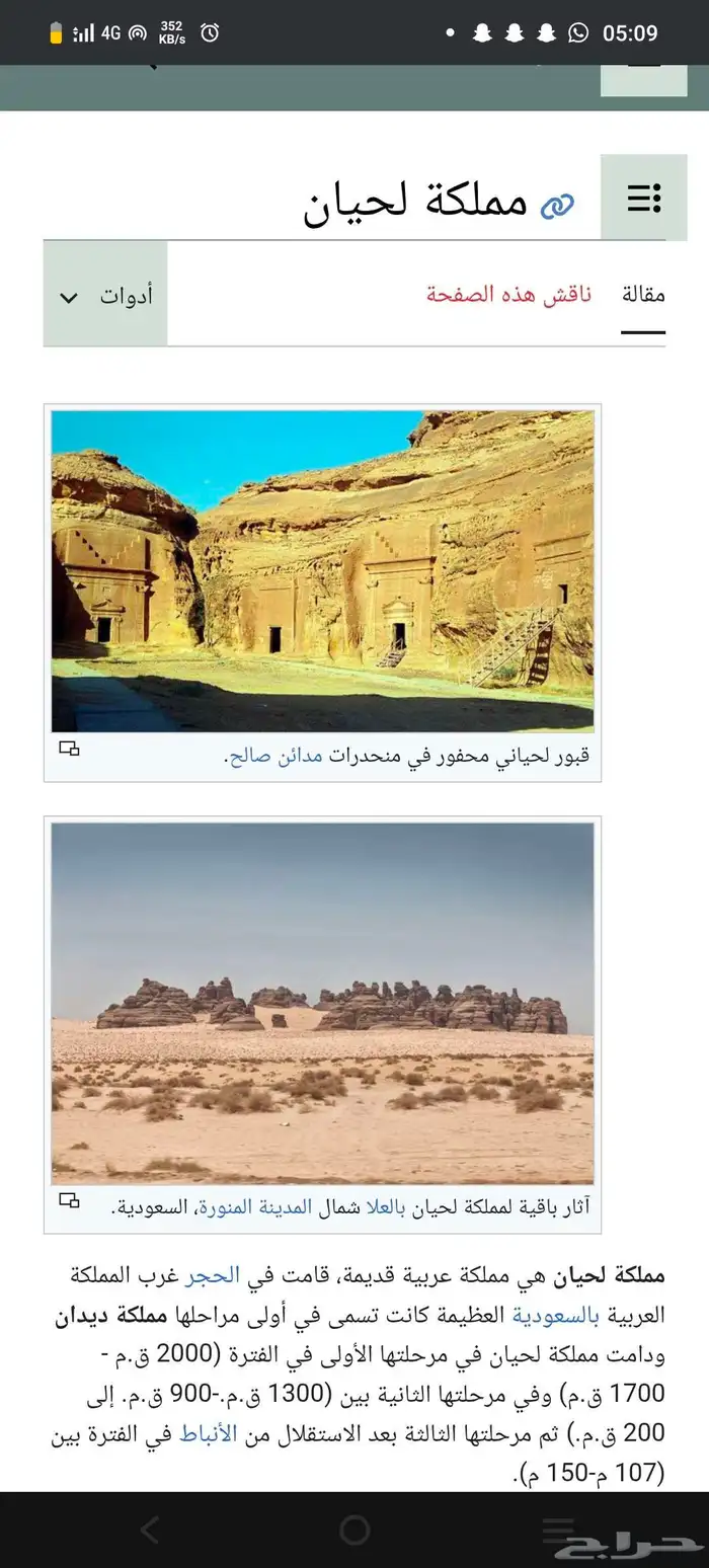 عملة البومة الحيانية من النوادر ضرب العلا قبل الميلاد 5