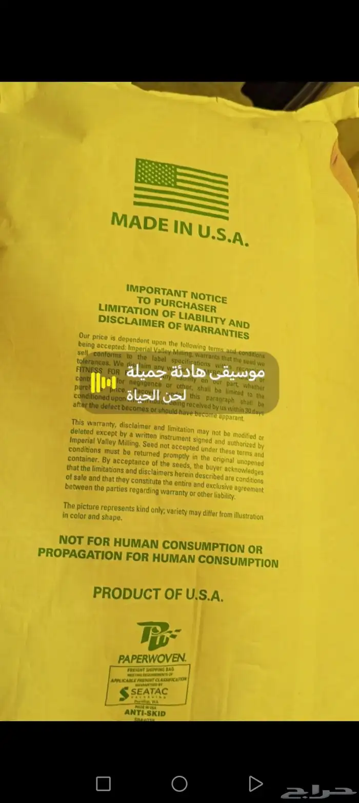 بزر برسيم أميركي 25 كيس 3