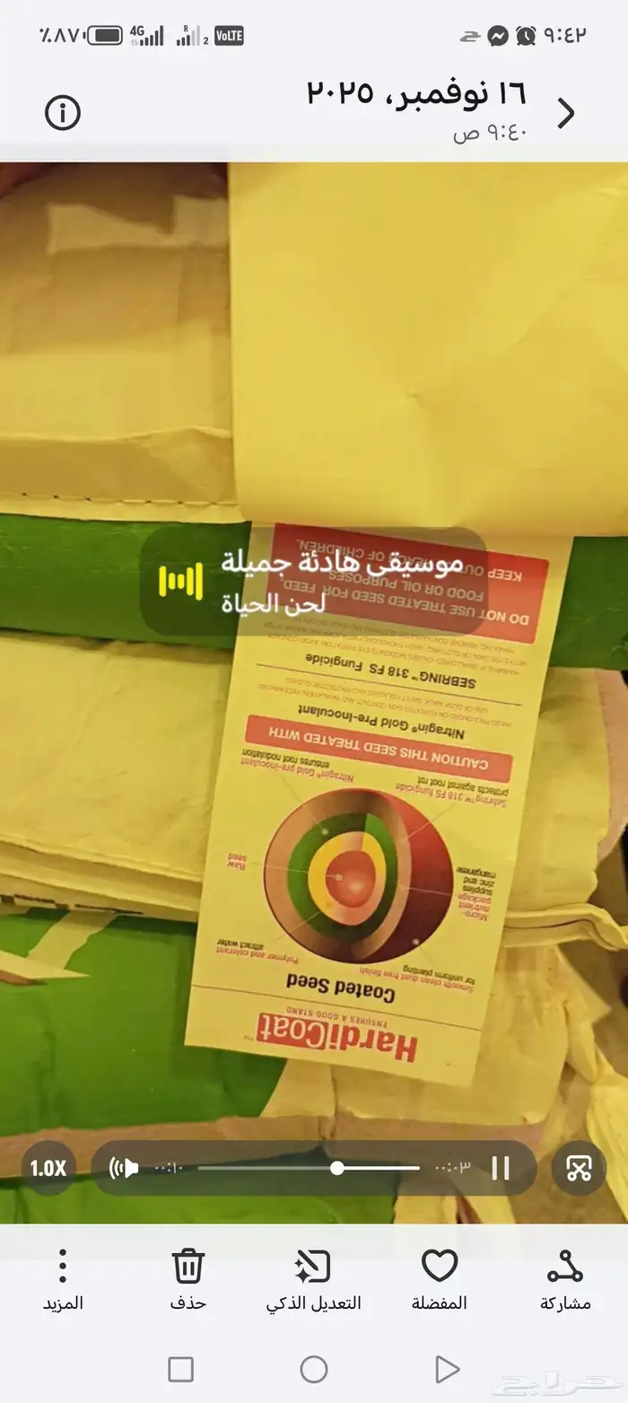 بزر برسيم أميركي 25 كيس 4