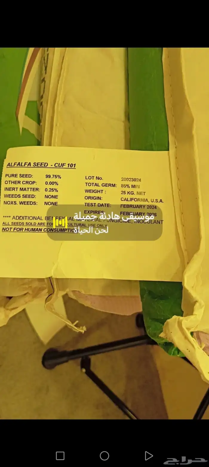 بزر برسيم أميركي 25 كيس 1