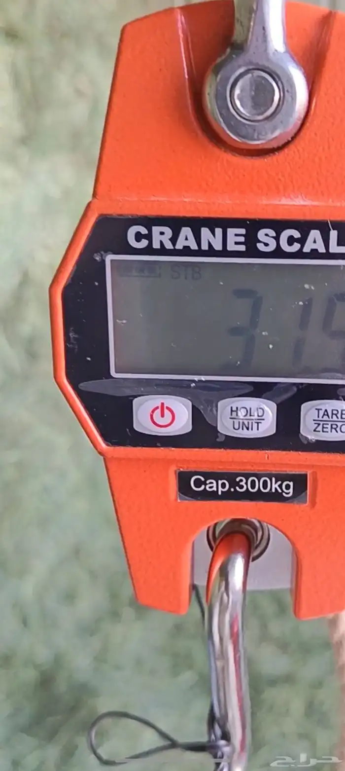 تمر غنم للبيع 5