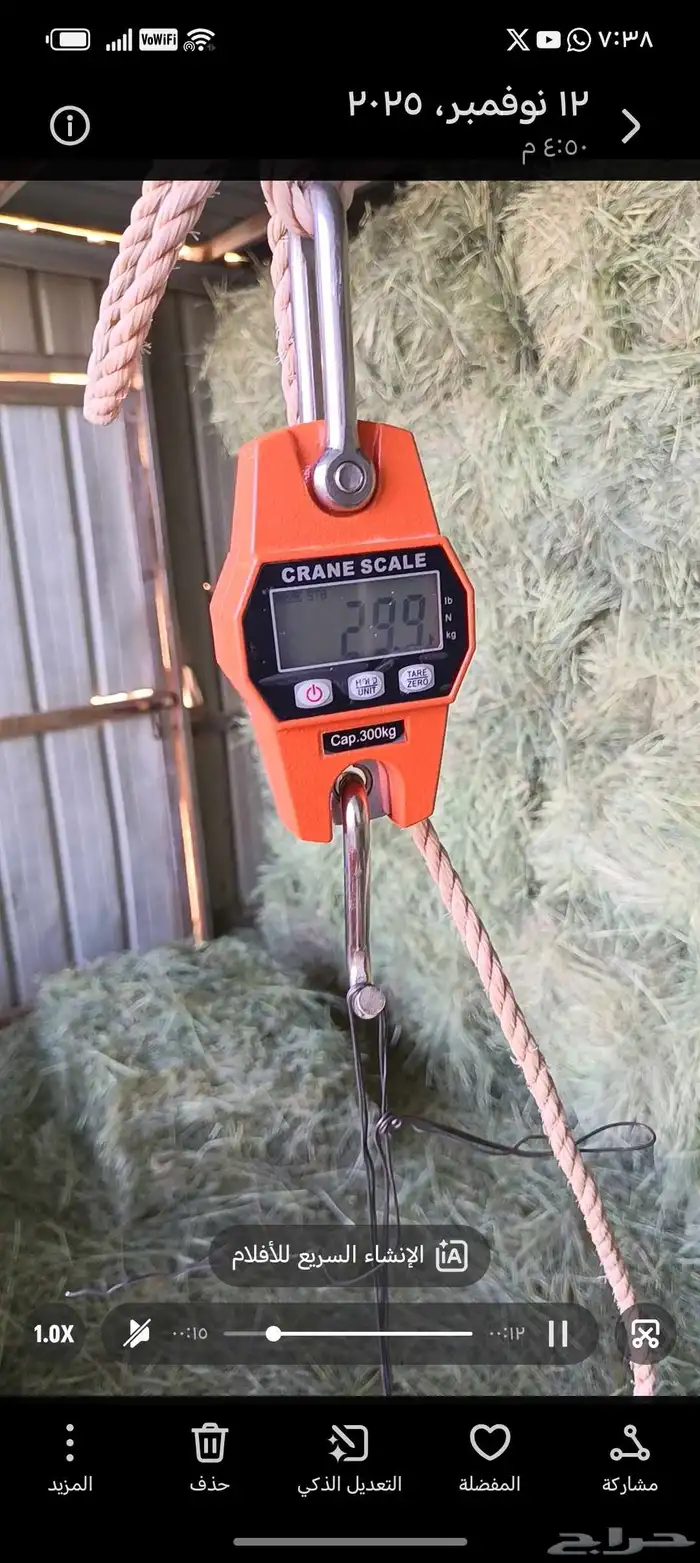 تمر غنم للبيع 6