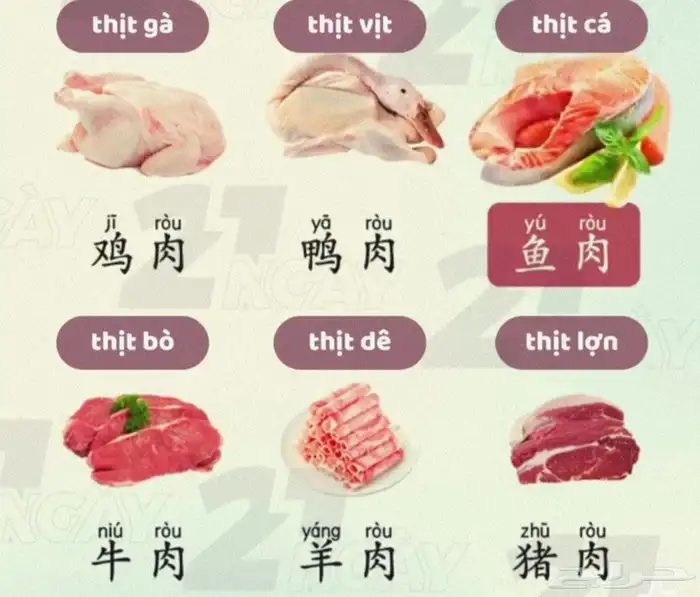 معلم ومترجم لغه صينيه 0