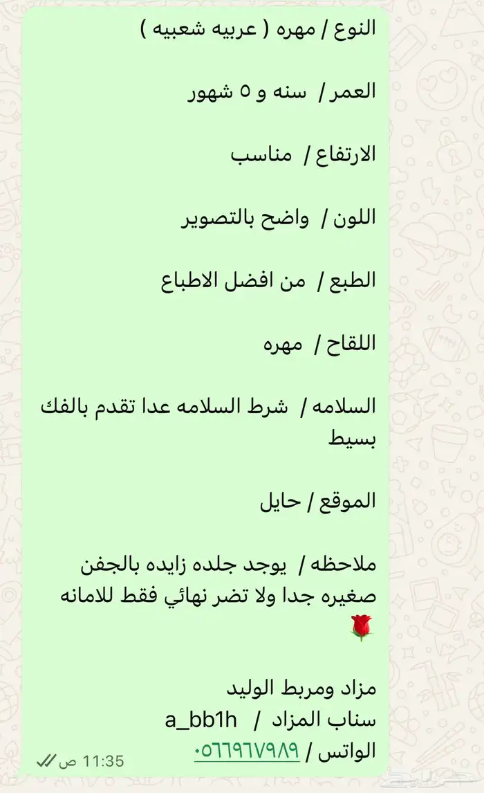 مهره شعبيه 1