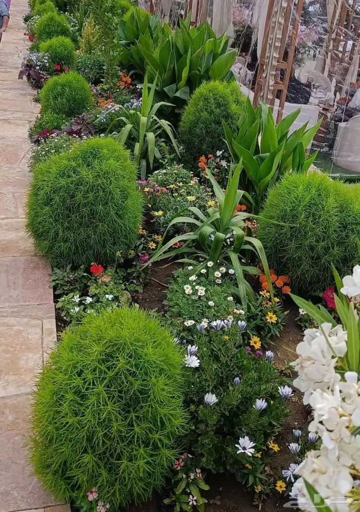 الطائف. الحوية رحاب 10