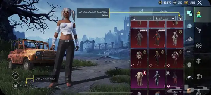 حساب ببجي للبيع المستوى 69 على السوم 0